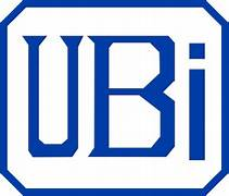 UBI Insurance